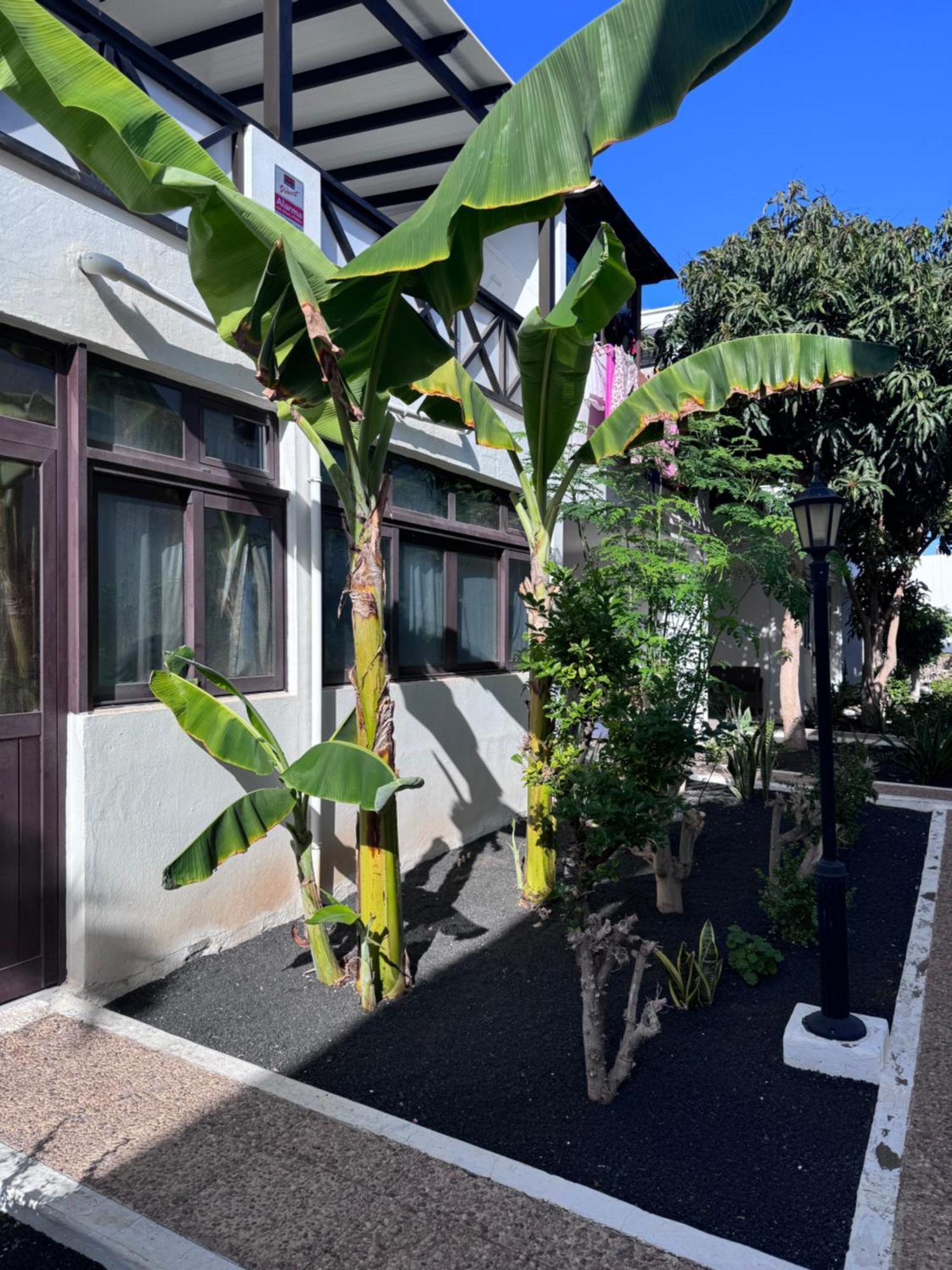 티아즈 Casa Ana Puerto Del Carmen 아파트 외부 사진